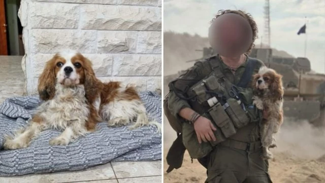 IDF soldier returning dog to family. 16 April, 2025 Photo: Kan 11