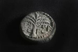 The rare coin. A date palm is engraved, with the inscription “Eleazar the Priest” inscribed in ancient Hebrew script (Photo: Emil Aladjem, Israel Antiquities Authority).