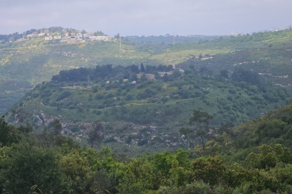 Khirbet Shalala (Mishmar HaCarmel Farm) on Mount Carmel (Photo: Nir Distelfeld, Israel Antiquities Authority).