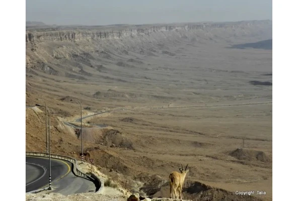 The northern rim of Maktesh Ramon March 2017