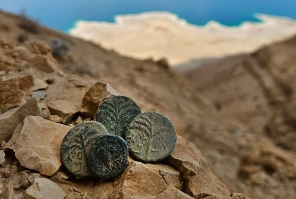The coins that were found in the desert (Photographer: oriya Amichai, Israel Antiquities Authority).