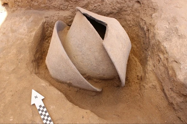 The broken ivory vessel deposited within the large basalt bowls (Photo: Davida Dagan, Antiquities Authority).