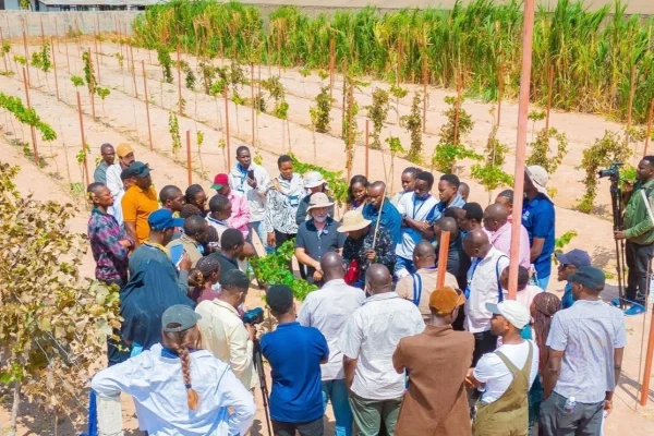 Israeli agricultural non-profit offers helping hand to Tanzania’s expanding wine industry