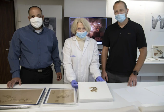 Raz Frohlich, Director General of the Ministry of Culture and Sports, Tanya Bitler, Scroll Conservationist at the Israel Antiquities Authority and Avi Cohen, the Director General of the Ministry of Jerusalem Affairs and Heritage, examining the discovered scroll fragments. (Photo: Shai Halevi/Israel Antiquities Authority)