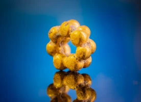 The gold bead (Photo: Koby Harati/City of David)