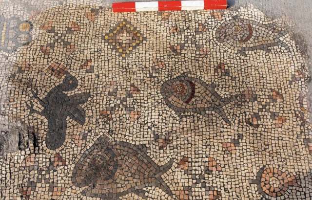 Depictions of fish and birds in the church hall mosaic at the Martyrion of Theodoros, northern Israel.Credit: Michael Eisenberg