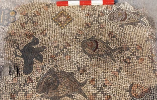 Depictions of fish and birds in the church hall mosaic at the Martyrion of Theodoros, northern Israel.Credit: Michael Eisenberg