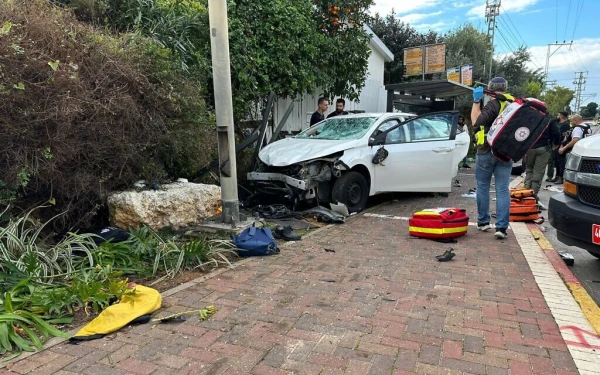 Combined car ramming, stabbing terror attack in central Israel kills ...