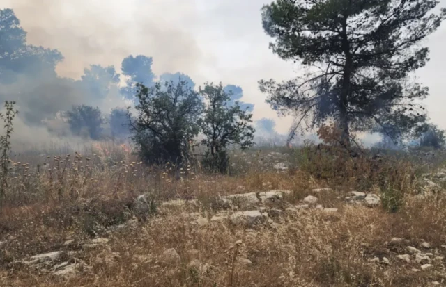 A fire near Kibbutz Kfar Etzion, May 27, 2023.
(Photo: Fire and Rescue Services)