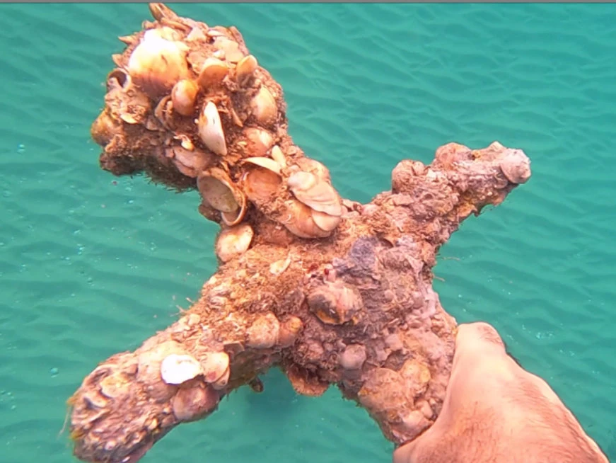 Photo: Shlomi Katzin