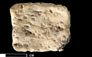 Close-up of the outside of the arguably Late Bronze Age lead curse tablet discovered on Mt. Ebal in 2019. (Michael C. Luddeni/Associates for Biblical Research)