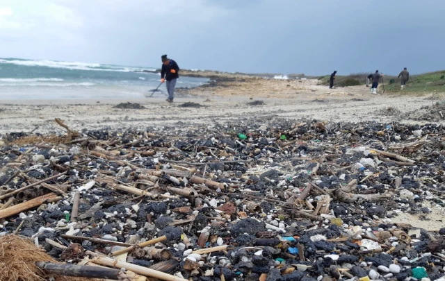 Cleaners work to remove tar at Tel Dor beach, Israel. (Yossi Ozen/Israel Nature and Parks Authority)