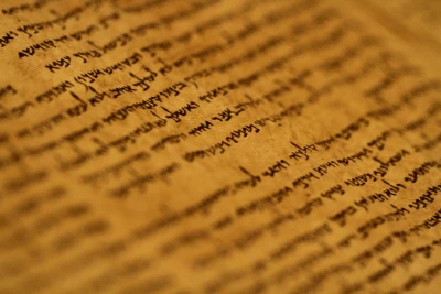 Fragments of the Dead Sea Scrolls, which include the oldest known surviving biblical manuscripts dated between 150 BCE and 70 CE, on display at the Israel Museum in Jerusalem on September 26, 2011. Photo by Miriam Alster/FLASH90