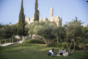 A Jewish Orthodox family has a picnic at Teddy Park, with the Tower of David seen in the background, near the Old City on a hot summer day in Jerusalem, on June 9, 2015. Photo by Hadas Parush/Flash90