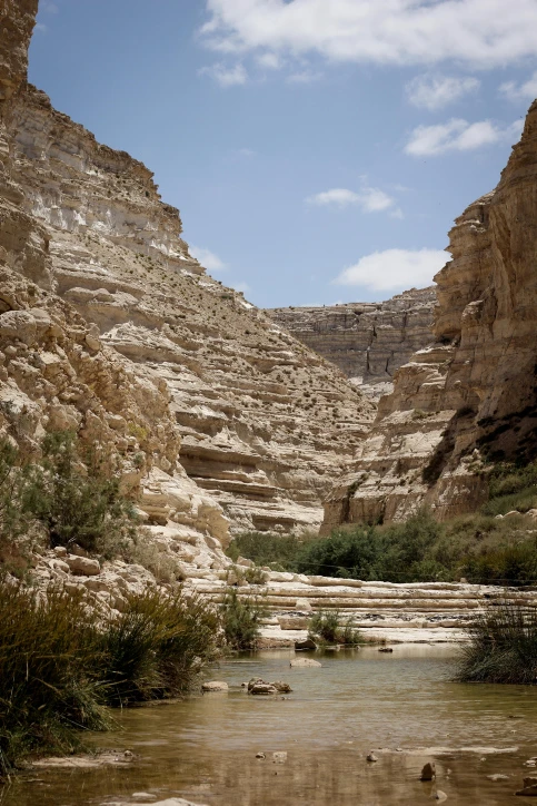 A scenic view of Ein Avdat canyon in The Negev, southern Israel on June 23, 2015 (Photo: Garrett Mills/Flash 90).