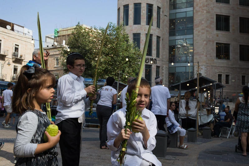 Young Jewish children hold the four plant species - palm leave stalk, citrus, myrtle and willow-branches- used for prayers during the Jewish holiday of Sukkot, on Zion square, downtown Jerusalem. (Photo by Nati Shohat/Flash90)
