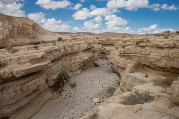 View of Nahal Zin, southern Israel on October 14, 2017 (Photo: Maor Kinsbursky/Flash90).
