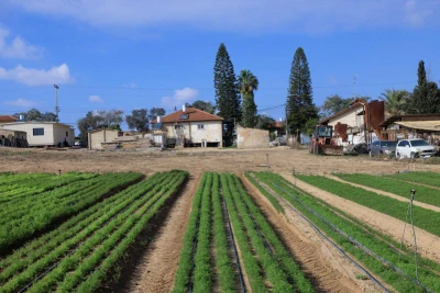 Fields in southern Israel. December 25, 2024. Photo by Moshe Shai/FLASH90