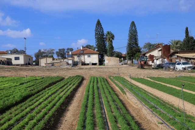 Fields in southern Israel. December 25, 2024. Photo by Moshe Shai/FLASH90
