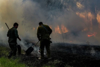 Members of an emergency squad try to extinguish a forest fire caused from rockets fired from Lebanon, near the northern Israeli town of Kiryat Shmona, June 4, 2024 (Photo: Ayal Margolin/Flash90).