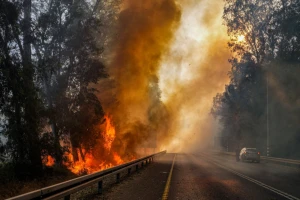 A forest fire caused from rockets fired from Lebanon, near the northern Israeli town of Kiryat Shmona, June 4, 2024 (Photo: Ayal Margolin/Flash90).