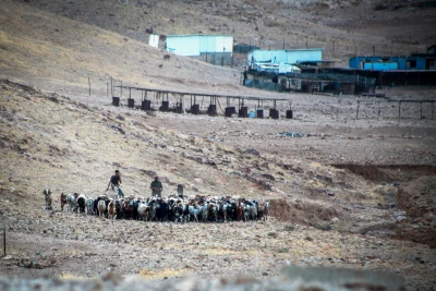 View of the Bedouin village of Ras al Auja whose residents were allegedly attacked by Jewish settlers and a number of sheep were stolen, north of Jericho, in the West Bank on June 23, 2024. Photo by Nasser Ishtayeh/Flash90