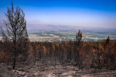View of the burnt forest caused a rocket fired from Lebanon into northern Israel, near the northern Israeli city of Kiryat Shmona, June 24, 2024. (Photo: David Cohen/Flash90)