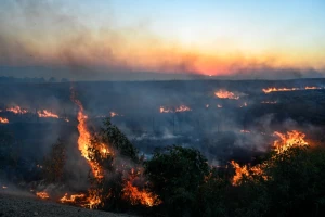 Israeli Security forces try to extinguish a fire near the scene of where a rocket fired from Lebanon hit a car and Killed Noa and Nir Baranes near Nafah Junction, in the Golan Heights, July 9, 2024 (Photo: Michael Giladi/Flash90).