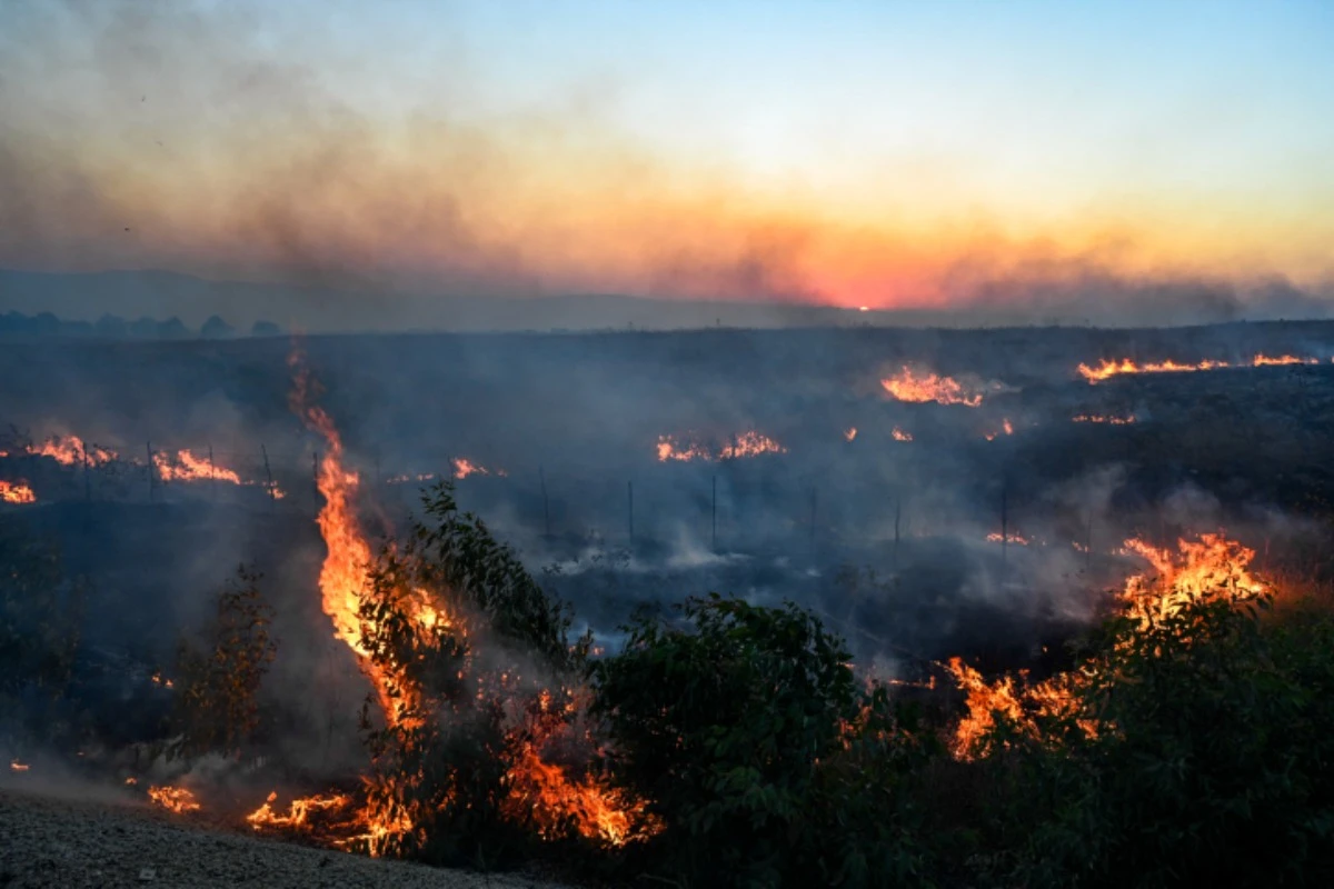 Israeli Security forces try to extinguish a fire near the scene of where a rocket fired from Lebanon hit a car and Killed Noa and Nir Baranes near Nafah Junction, in the Golan Heights, July 9, 2024 (Photo: Michael Giladi/Flash90).