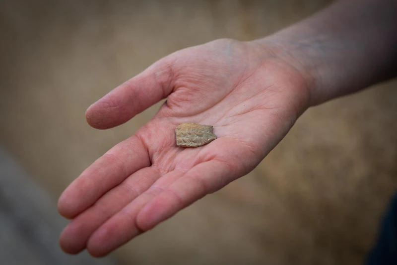 An Israeli Antiquities Authority (IAA) archaeologist holds a cuneiform inscription on a small pottery sherd, believed to reference a delay in payment from the Kingdom of Judah to the Assyrian Empire, discovered during an Israel Antiquities Authority archaeological excavation near the Western Wall in Jerusalem’s Old City, October 22, 2025. Photo by Yonatan Sindel/Flash90