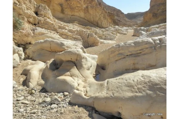 On the circular trail from Saharonim Spring