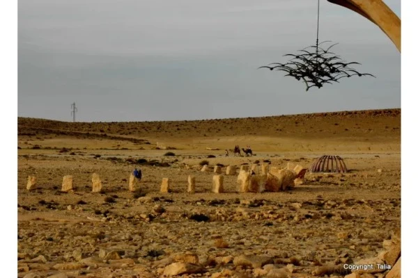 A camel ride in the Sculpture Park at sunset.