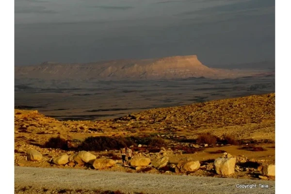 Mt Arsuf at sunset from the Sculpture Park