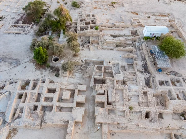 Israeli archaeologists uncover evidence of biblical-era trade links with Arabia