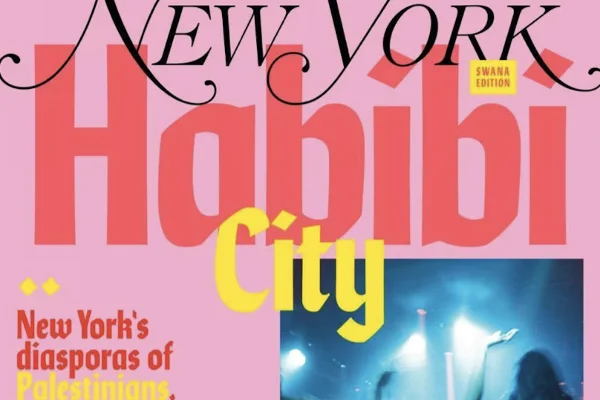 New York Magazine dubs NYC 'Habibi City' amid growing Arab, Muslim influence
