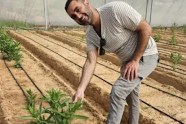 Israeli scientific breakthrough could lead to producing milk proteins from plants