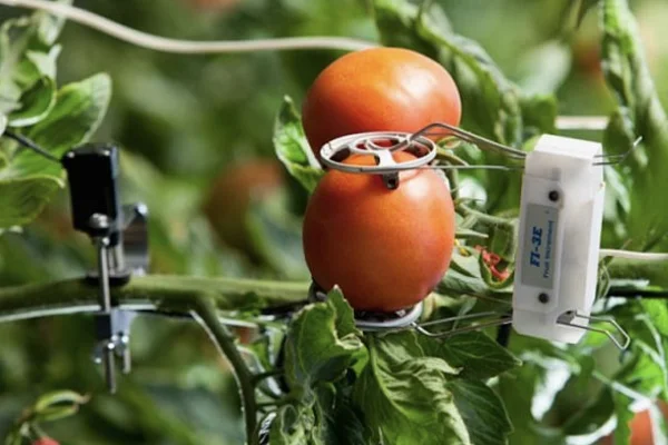 Israeli agritech innovation attracts Australian investors