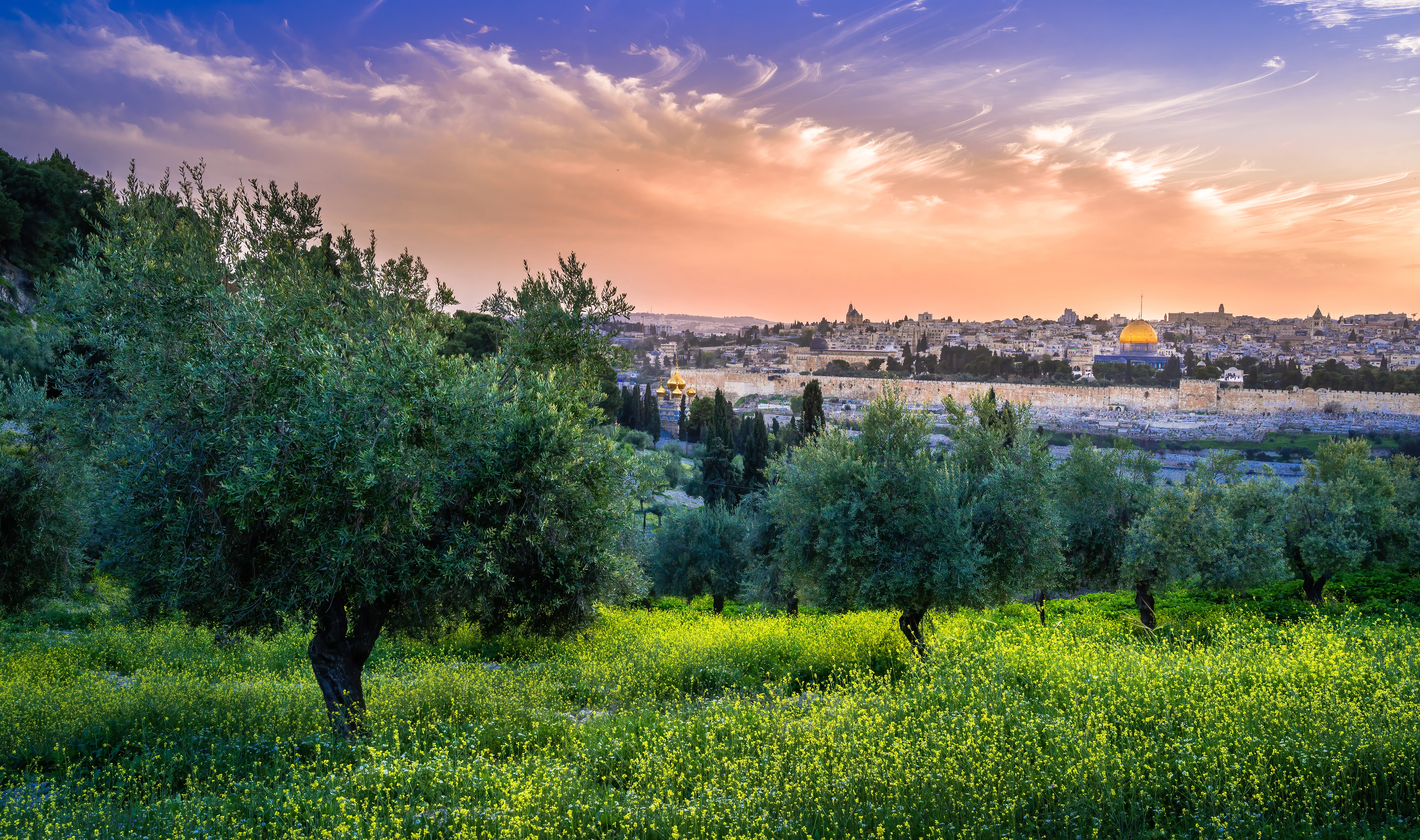 Mount of Olives and Dome of the Rock on the Temple Mount in the background, Jerusalem. (Photo: Shutterstock)