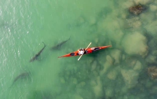 Drone view of kayaks sail in shallow water with sharks coming to shore due to the hot water of the powerhouse "Hadera Lights", Hdera, Israel -APR 17 2021. (Photo: Shutterstock)