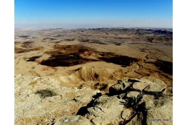 The Crater Floor – the dark hills are the basalt remains of ancient volcanoes.