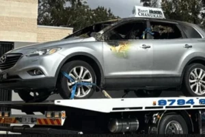 The car that was set on fire. (Photo used under section 27A of the copyright law).