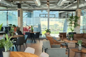 Habayta startup office basedd is upper Galilee Photo: OpenValley