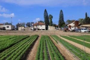 Fields in southern Israel. December 25, 2024. Photo by Moshe Shai/FLASH90