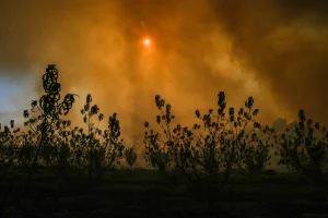 A wildfire following a missile attack from Lebanon near kibbutz Yesud Hamaala, Galilee, on October 26, 2024. Photo by Ayal Margolin/Flash90