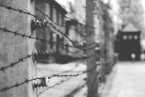 Barbed wire fence in Auschwitz II-Birkenau Concentration Camp. Photo: Shutterstock
