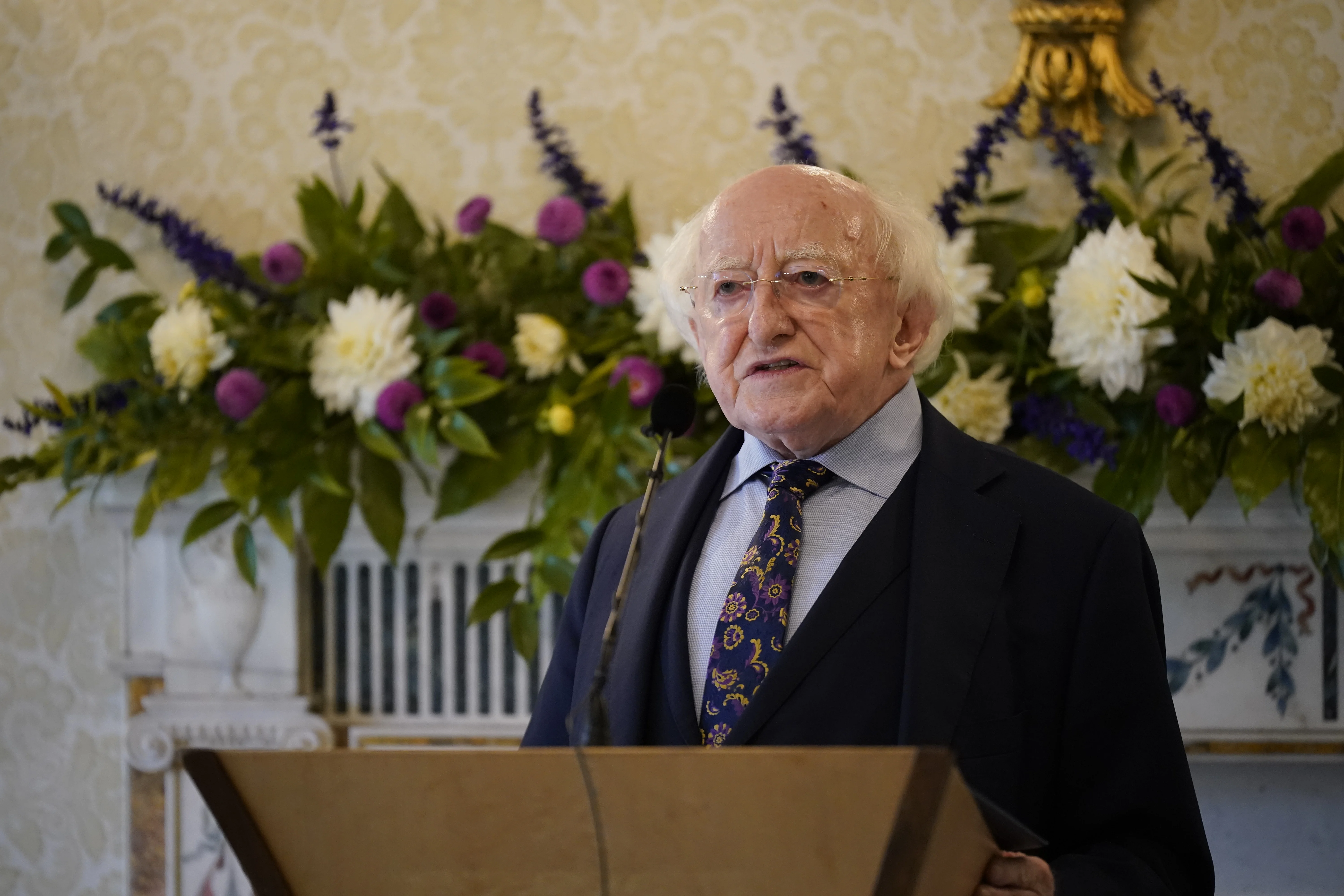 President of Ireland Michael D Higgins speaks at a reception at Aras an Uachtarain in Dublin, October 16, 2024. Photo: PA/Reuters.