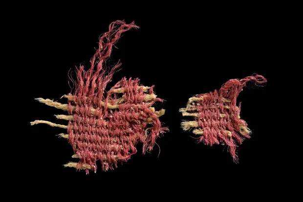 A 3,800-Year-Old Red Textile Dyed with Biblical Scarlet discovered in the Judean Desert Caves, and published by the Israeli Antiquities Authority in 2024 (Photo: Dafna Gazit, Israel Antiquities Authority).