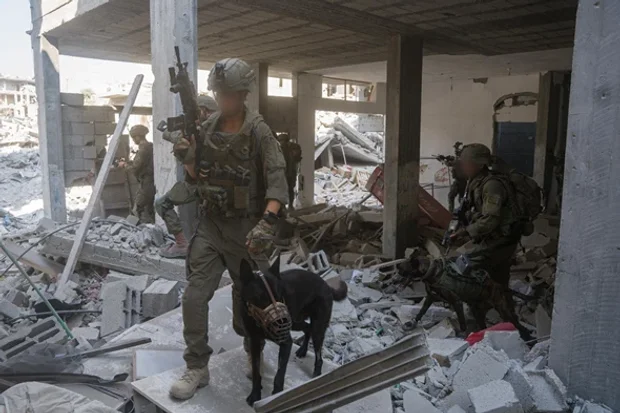 IDF announces death of two terrorists in Gaza, including senior operative who held Emily Damari and 2 other Israeli hostages