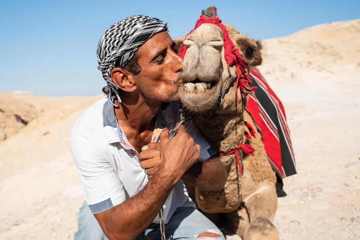 A Palestinian bedouin seen with his camel in the Judean desert, on October 27, 2018. Photo by Dario Sanchez/FLASH90