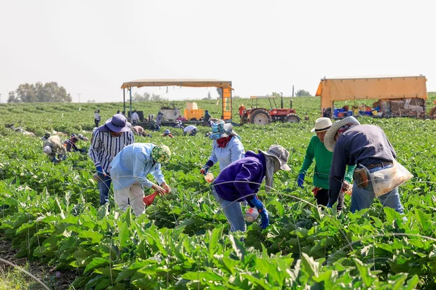 Iran tried to exploit hostages to pressure Thailand into undermining Israel’s agriculture sector – report